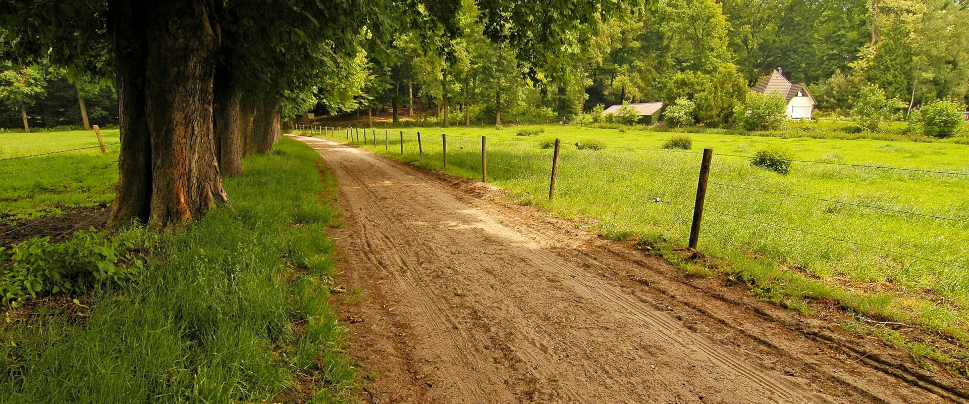 Prachtige natuur met landweggetje in de Achterhoek