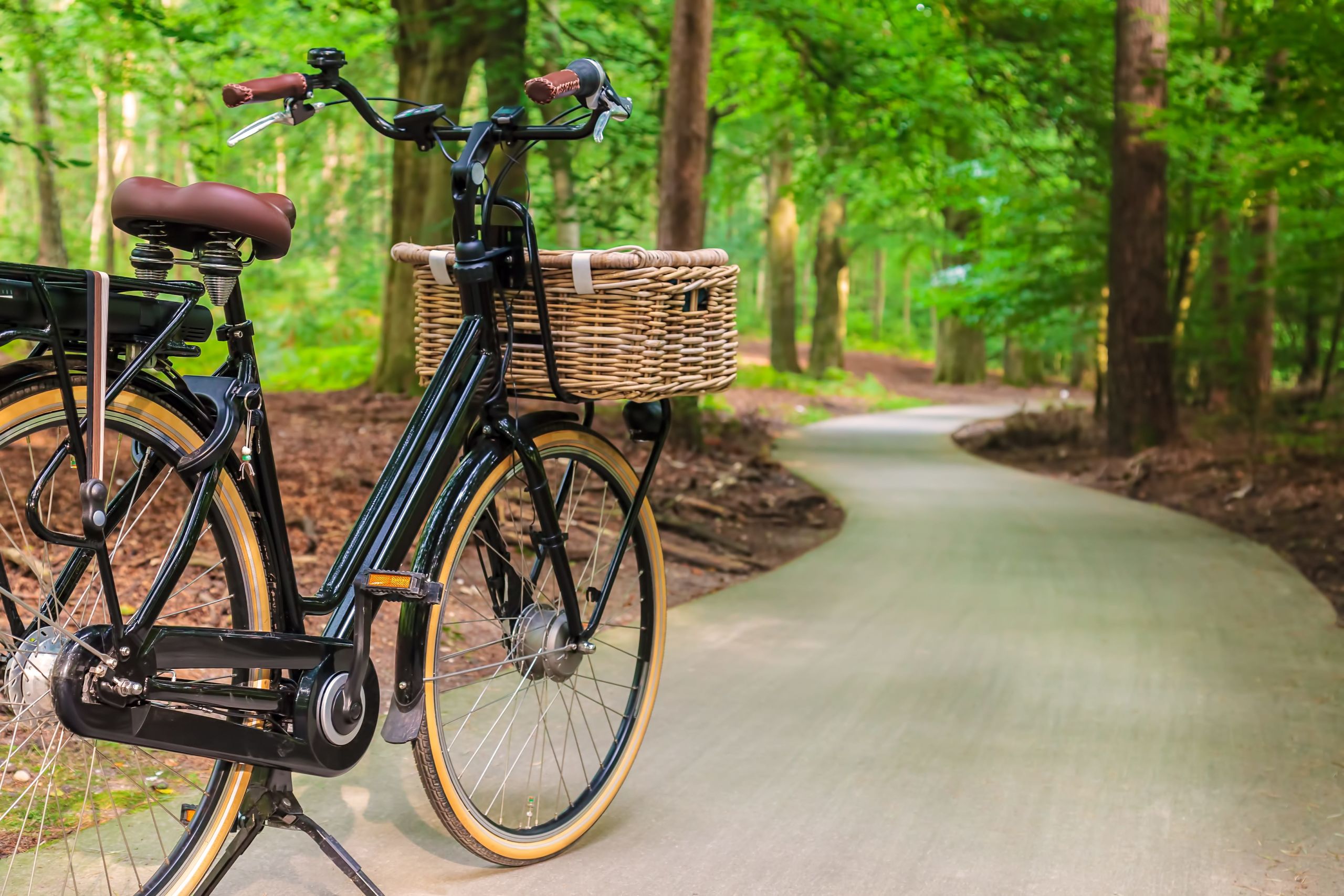 Heerlijk fietsen door de Achterhoek vanaf Landgoed Ehzerwold in Almen