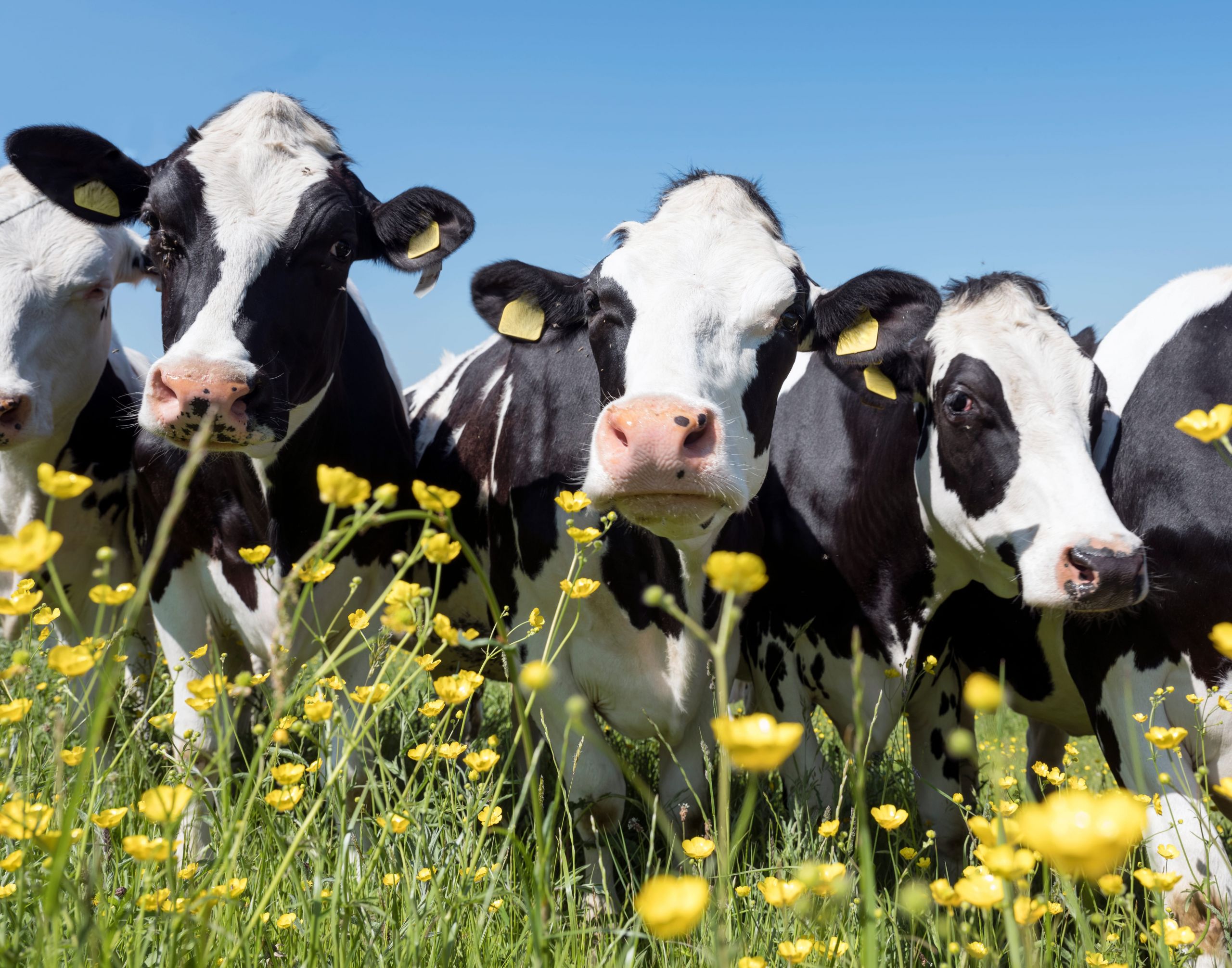 Natuur in de Achterhoek - Landgoed Ehzerwold